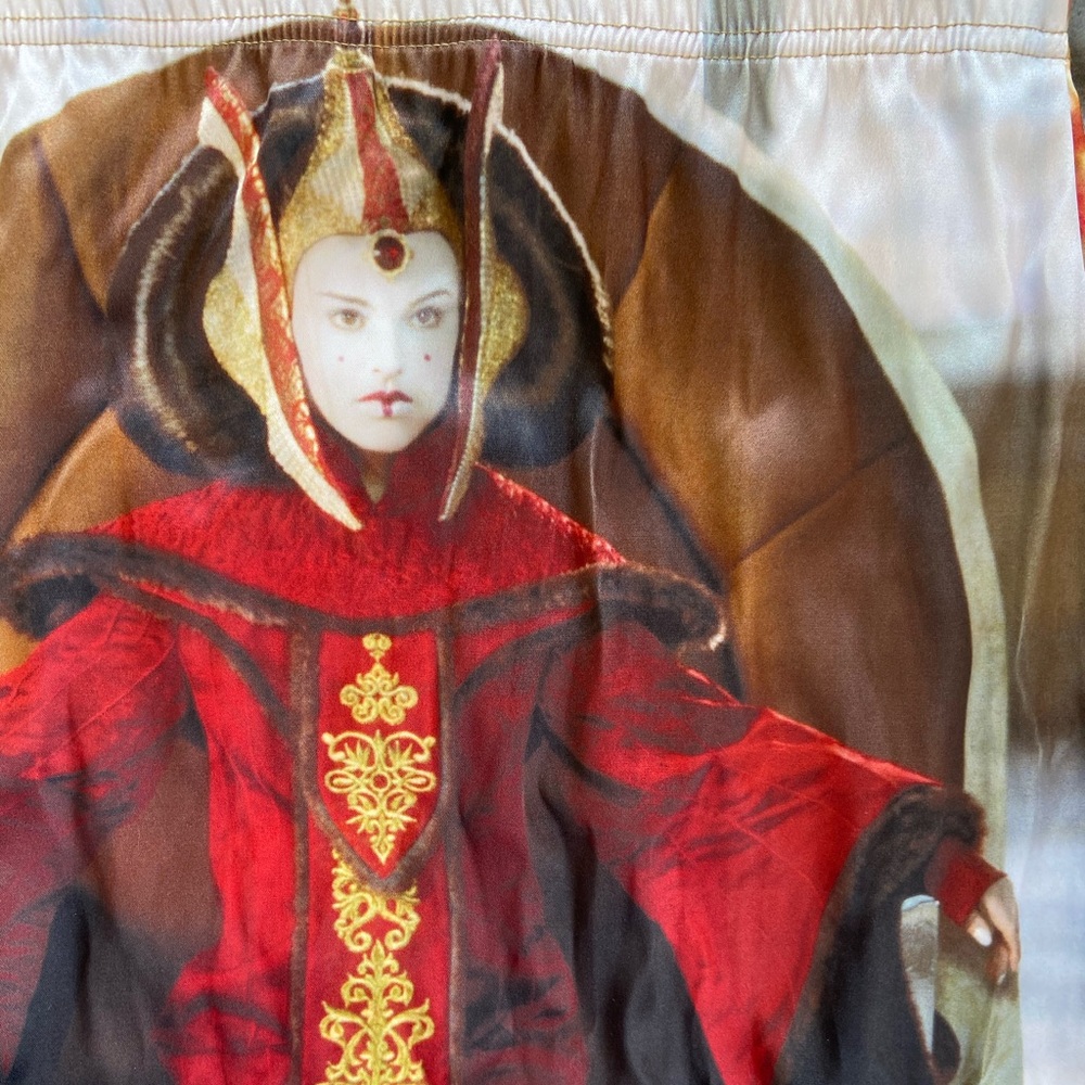 Princess Amidala skirt